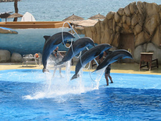 Marineland