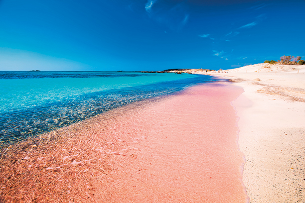 Růžová pláž Elafonisi