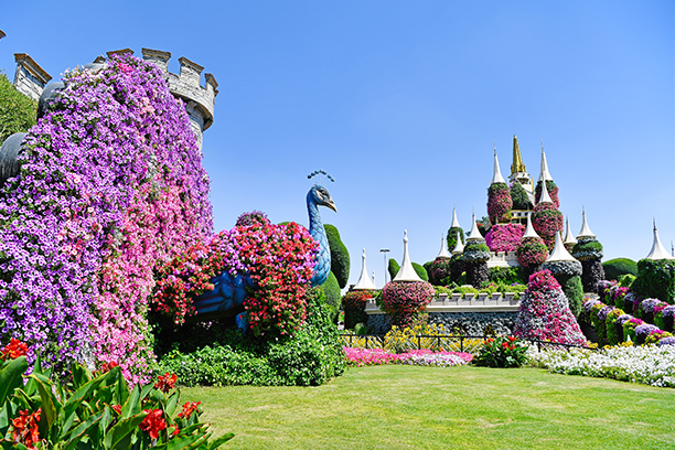 Dubaj Miracle Garden + Global Village (doporučujeme)