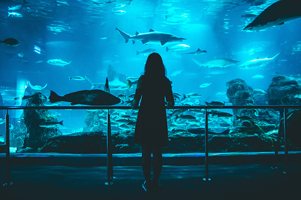 Barcelonské akvárium