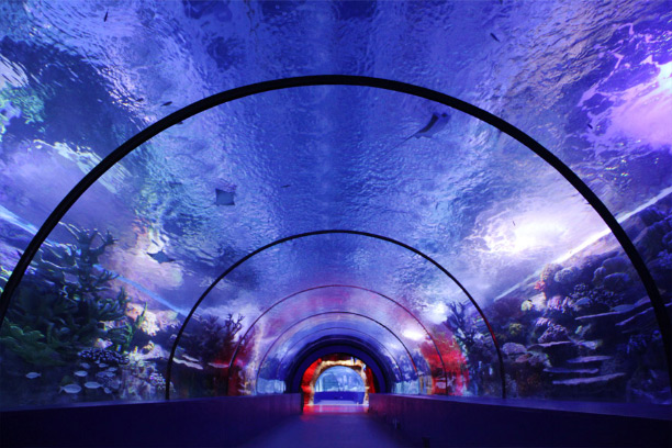 Aquarium