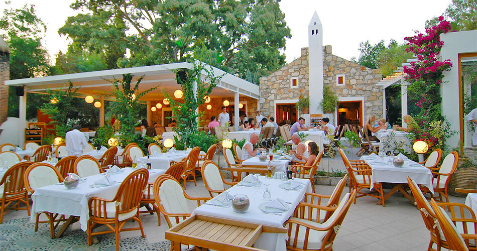Hotel Okaliptus